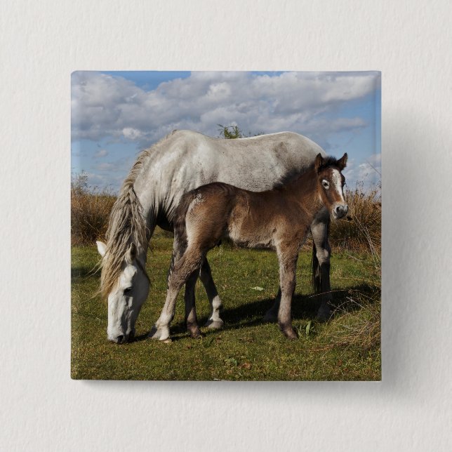 Chapa Cuadrada Potro de caballo de Camargue con madre (Anverso)