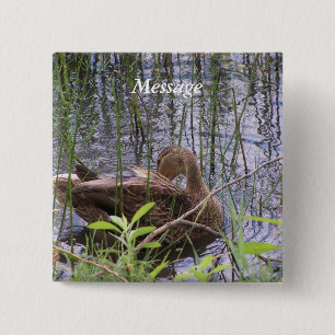 Chapa Cuadrada Predicación del pato en los carrizos