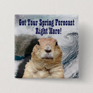 Chapa Cuadrada Predicción de primavera de Groundhog
