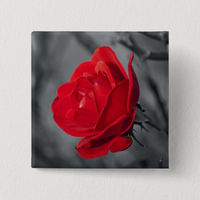 Chapa Cuadrada Prendedor de Rosa Roja (Anverso)