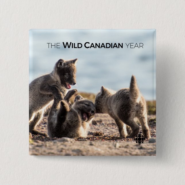 Chapa Cuadrada Primavera - Fox ártica (Anverso)