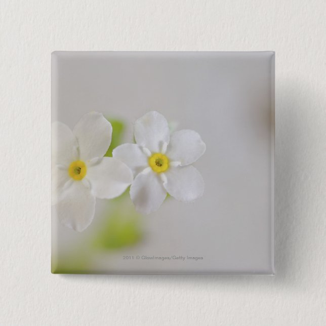 Chapa Cuadrada Primer de flores (Anverso)