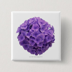 Chapa Cuadrada Primer de la bola del Hydrangea