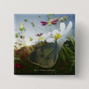 Chapa Cuadrada Primer de la mariposa en la flor