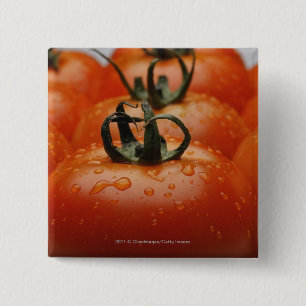 Chapa Cuadrada Primer de los tomates 2