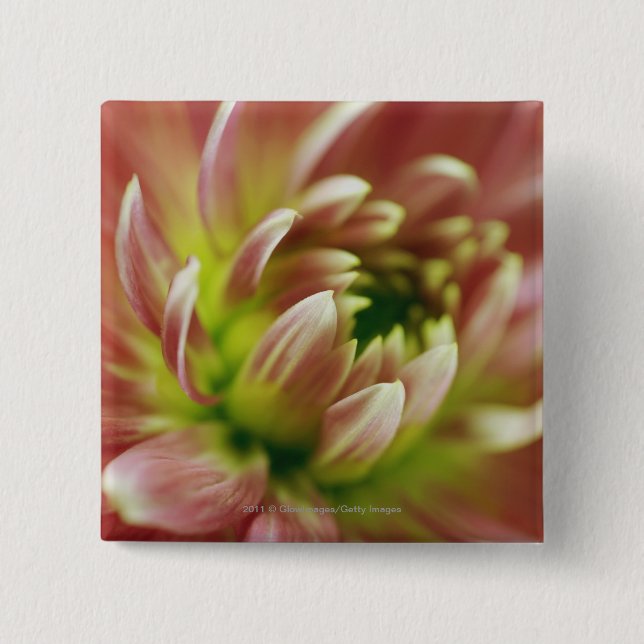 Chapa Cuadrada Primer de una flor (Anverso)