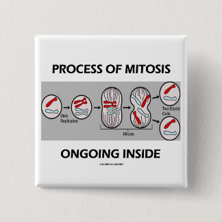 Chapa Cuadrada Proceso del interior en curso de la mitosis