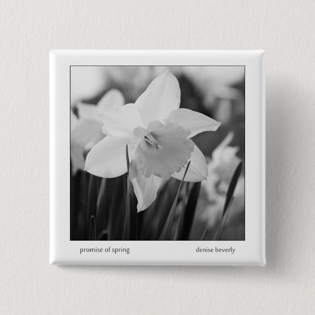 Chapa Cuadrada promesa de primavera daffodil jonquil negro y blan (Anverso)