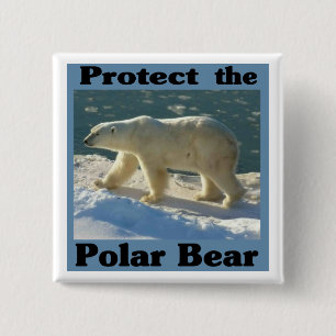 Chapa Cuadrada Proteger el oso polar