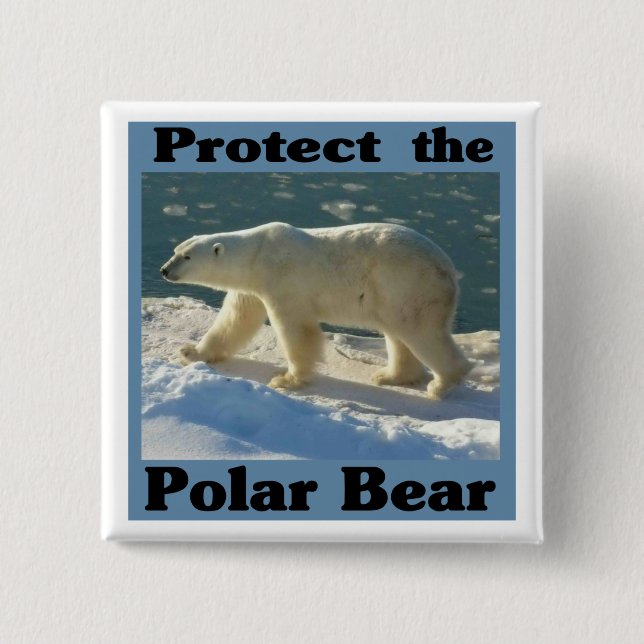 Chapa Cuadrada Proteger el oso polar (Anverso)