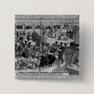 Chapa Cuadrada Publicidad de poster, 'el Barnum y el Bailey