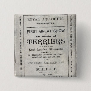 Chapa Cuadrada Publicidad de poster el club aliado de Terrier