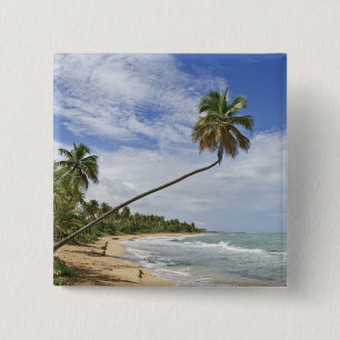 Chapa Cuadrada Puerto Rico. Playa Tres Palmitas Puerto Rico