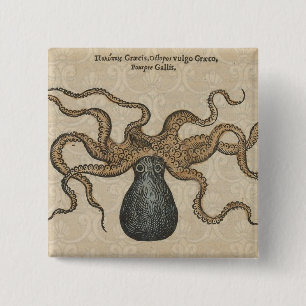 Chapa Cuadrada Pulpo Kraken Antiguo Marino Vida Silvestre Costera