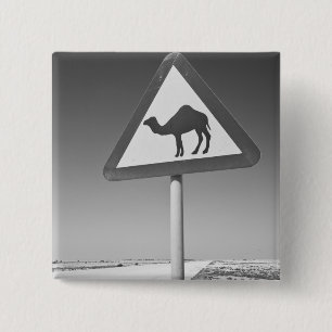 Chapa Cuadrada Qatar, Al Zubarah. Camello que cruza el Rótulo ha