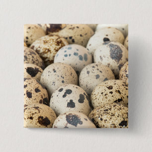 Chapa Cuadrada Quail Eggs