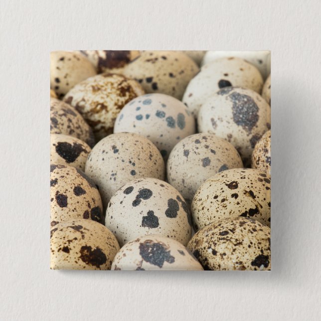 Chapa Cuadrada Quail Eggs (Anverso)