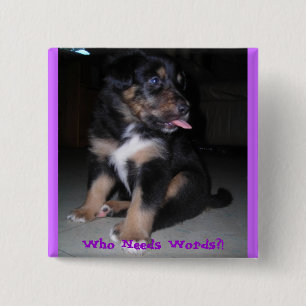 Chapa Cuadrada ¿Quién necesita palabras?