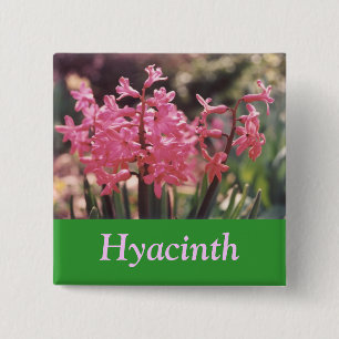 Chapa Cuadrada Racimo del jacinto