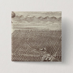 Chapa Cuadrada Rancho Chapin Fruit