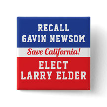 Recall Newsom Elect Larry Elder Save California