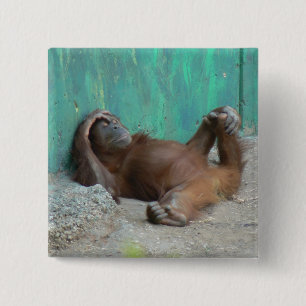 Chapa Cuadrada Reclinación del orangutang del bebé