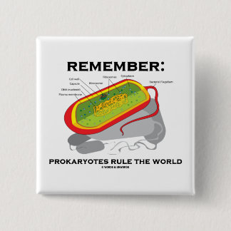 Chapa Cuadrada Recuerde: Los Prokaryotes gobiernan el mundo