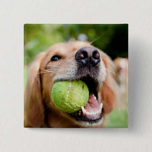 Chapa Cuadrada Recuperador de oro con bolas de tenis (Anverso)