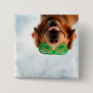 Chapa Cuadrada Recuperador de oro con gafas de sol verdes