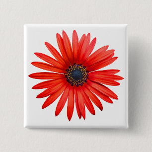 Chapa Cuadrada Red Devil