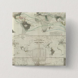 Chapa Cuadrada Reptilia, Ophidia