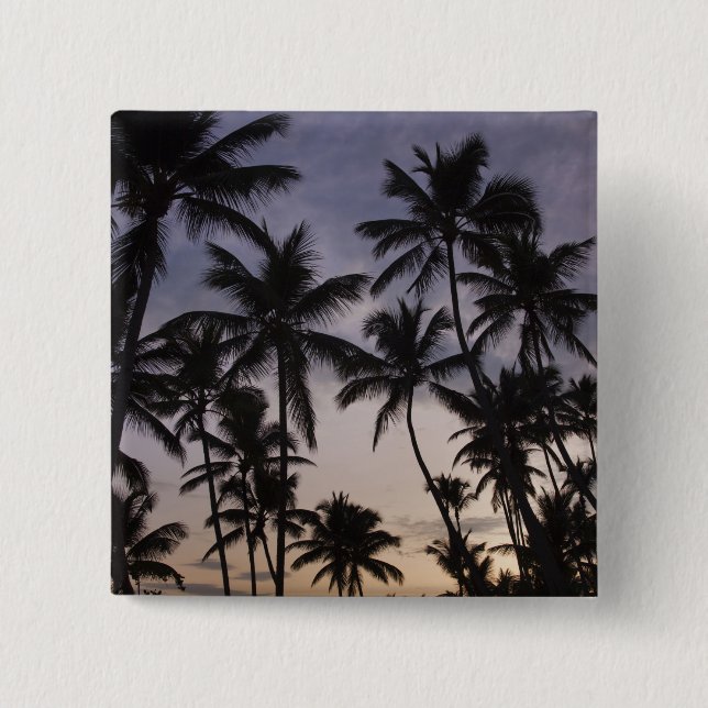 Chapa Cuadrada República Dominicana, Península de Samana, Las 2 (Anverso)