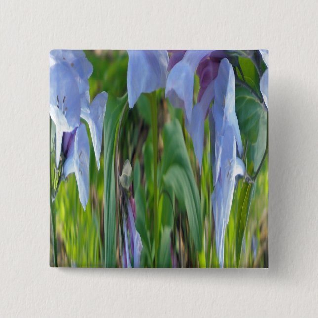 Chapa Cuadrada Resumen de Virginia Bluebells (Anverso)