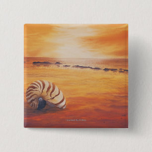 Chapa Cuadrada Retraso