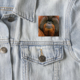 Chapa Cuadrada Retrato de Orangután macho, Georgia, EE. UU.