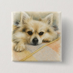 Chapa Cuadrada Retrato de perro Chihuahua Pomerania al aguarela