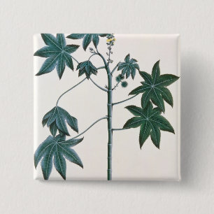 Chapa Cuadrada Ricino, c.1801-4