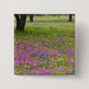 Chapa Cuadrada Robles con campo de Phlox, Blue Bonnets