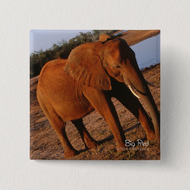 Chapa Cuadrada Rojo grande (Anverso)