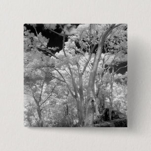 Chapa Cuadrada Rojo infantil de árboles edificios y senderos en 