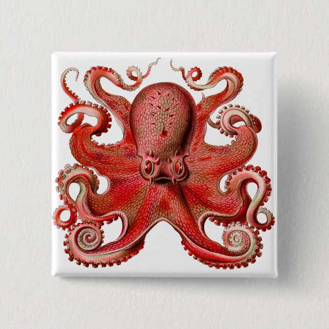 Chapa Cuadrada Rojo octopo Haeckel (Anverso)
