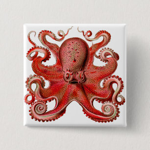 Chapa Cuadrada Rojo octopo Haeckel