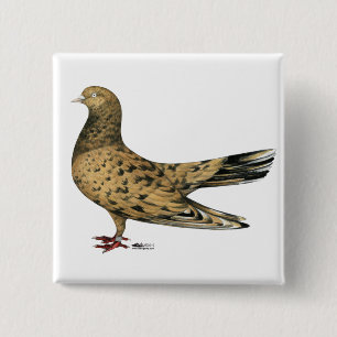 Chapa Cuadrada Roller oriental volador Pigeon Almond