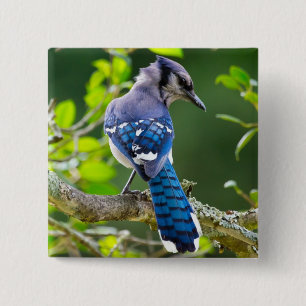 Chapa Cuadrada Ropa de regalos de fotografía de la naturaleza del