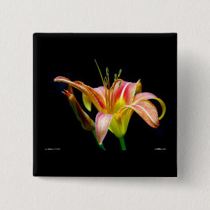 Chapa Cuadrada Ropa y regalos Lovely Tawny Daylily II
