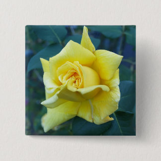 Chapa Cuadrada Rosa amarillo