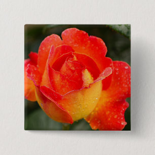 Chapa Cuadrada Rosa naranja Floral
