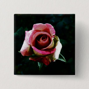 Chapa Cuadrada Rosa pintada al óleo