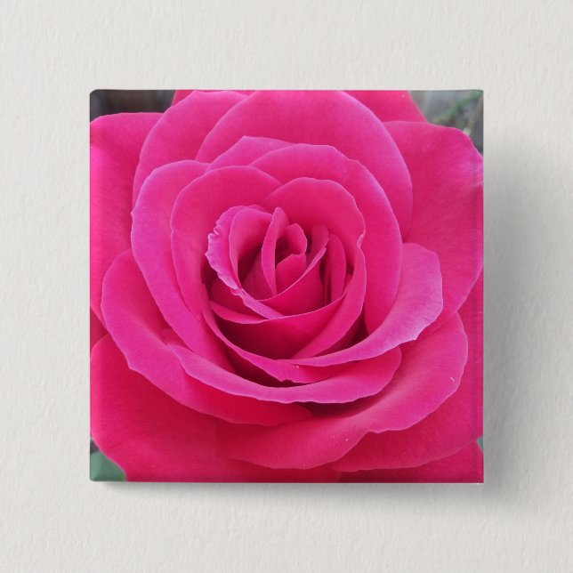 Chapa Cuadrada Rosa rojo real (Anverso)