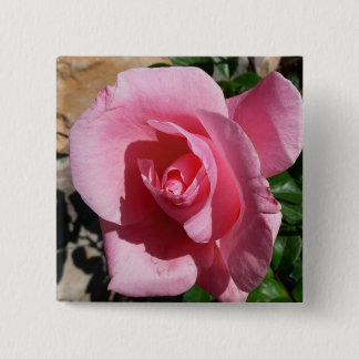 Chapa Cuadrada Rosa rosa III Jardín Floral